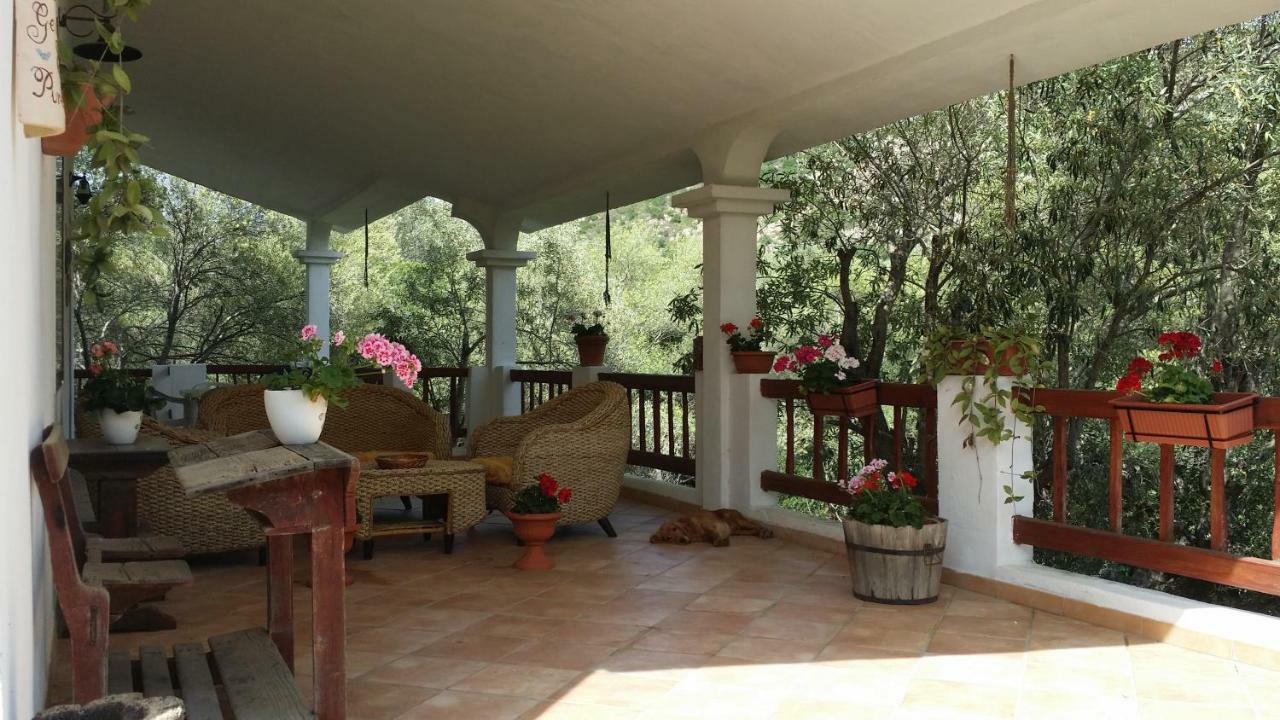 Maravilla Loiri Porto San Paolo 外观 照片